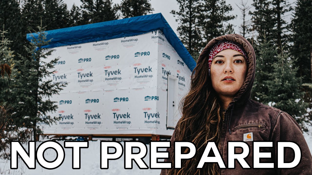 Winter came for our unfinished cabin. We were not ready.