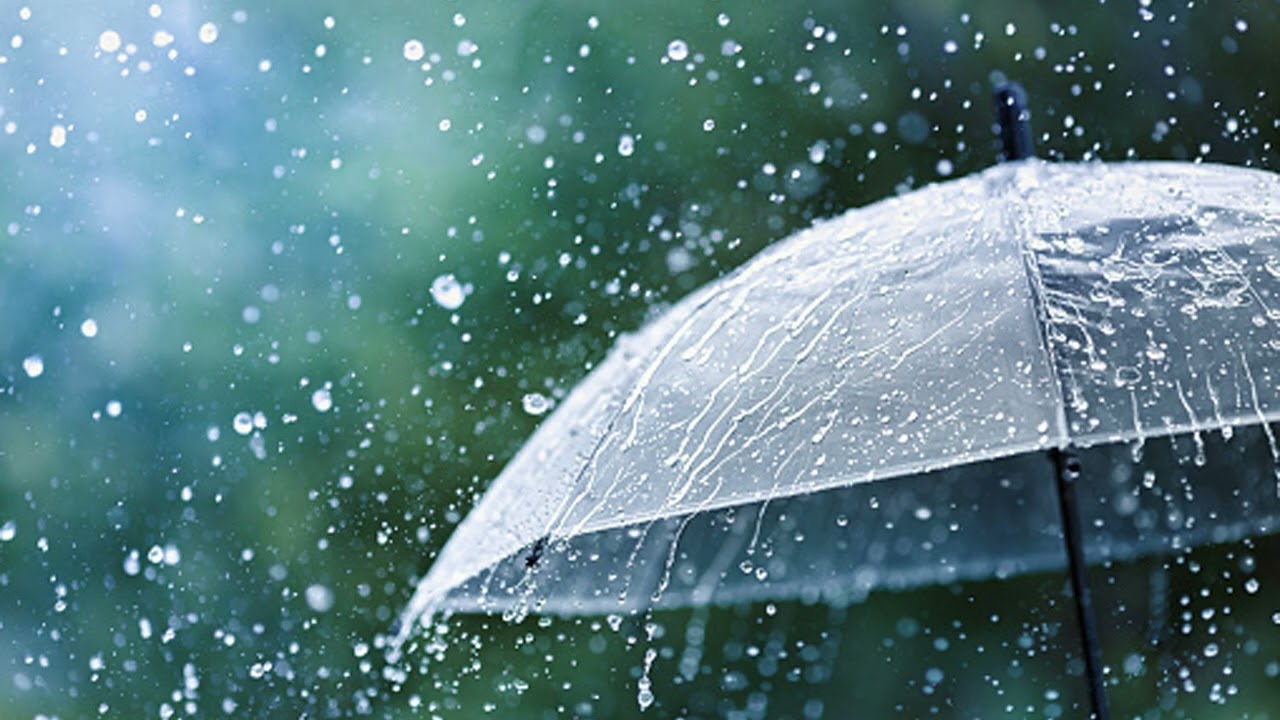 Cozy Rain on Window – 1 Hour of Relaxing Rain Sounds for Sleep & Focus