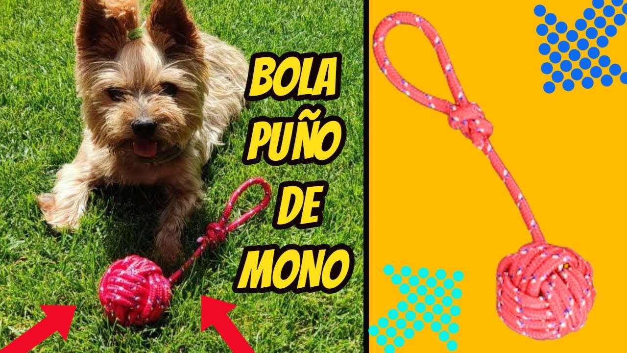 🔴 CÓMO HACER PELOTAS PARA PERROS CASERA  BOLA PUÑO DE MONO MUY FÁCIL  🐶