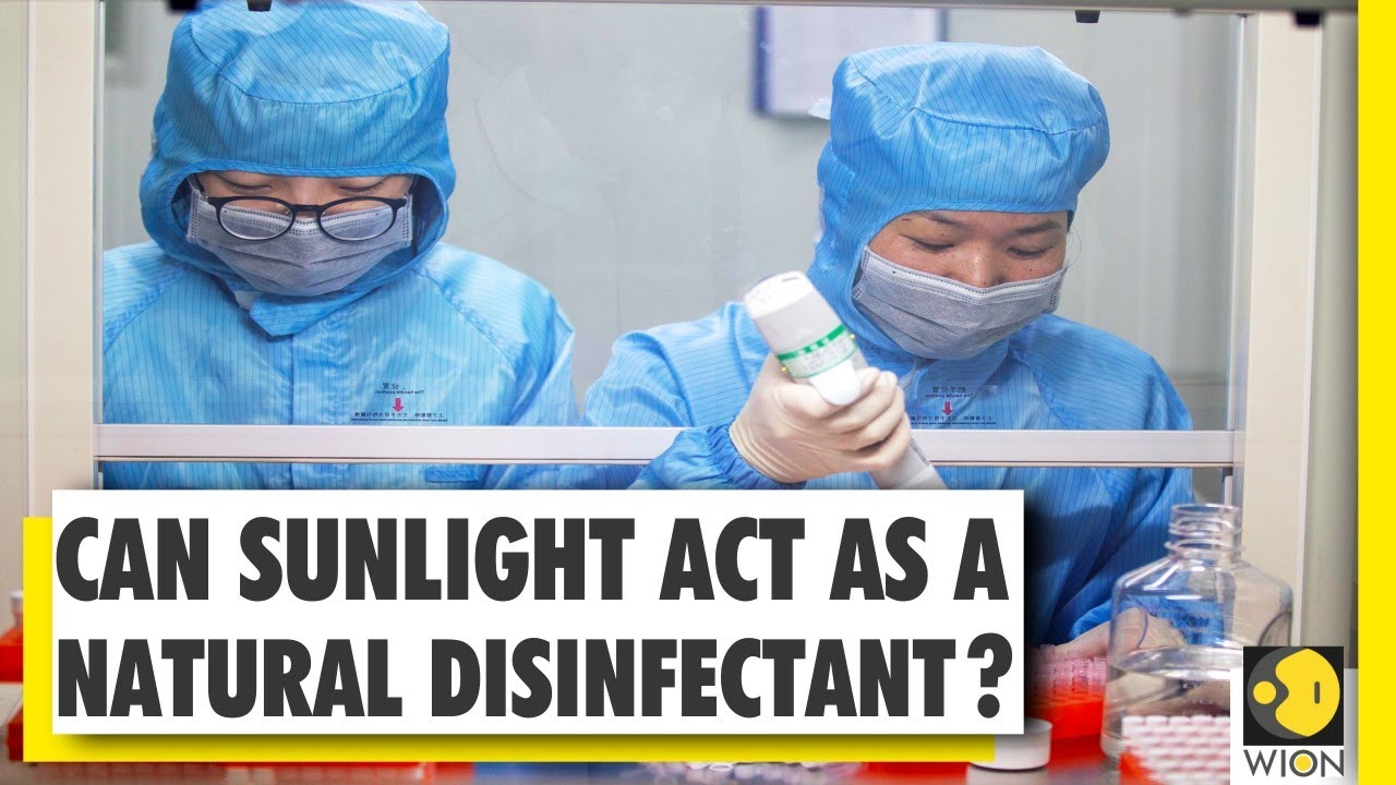 Study: Virus may get inactive, if exposed to direct sunlight | Coronavirus Study | COVID-19 Research