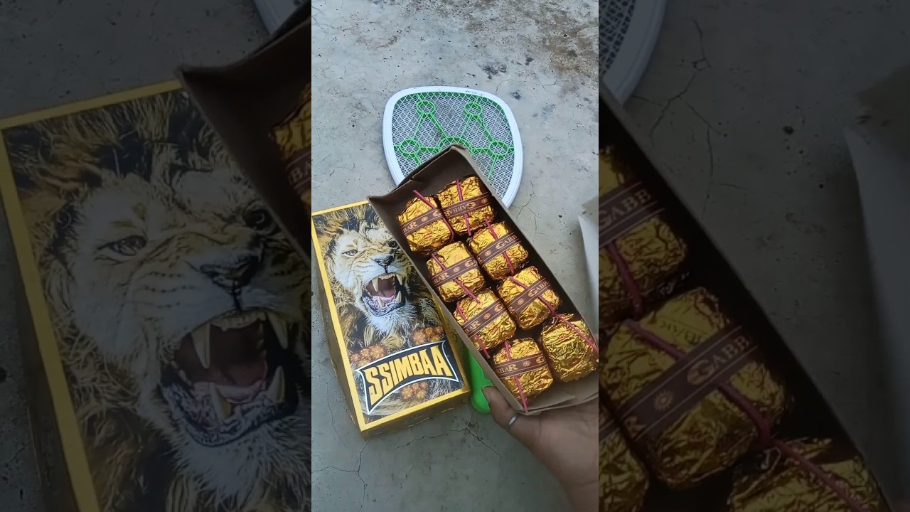 Best diwali patakhe // pataka experiment // 😲😂 #pataka #fireworks #diwali #crackers #Shorts #Short