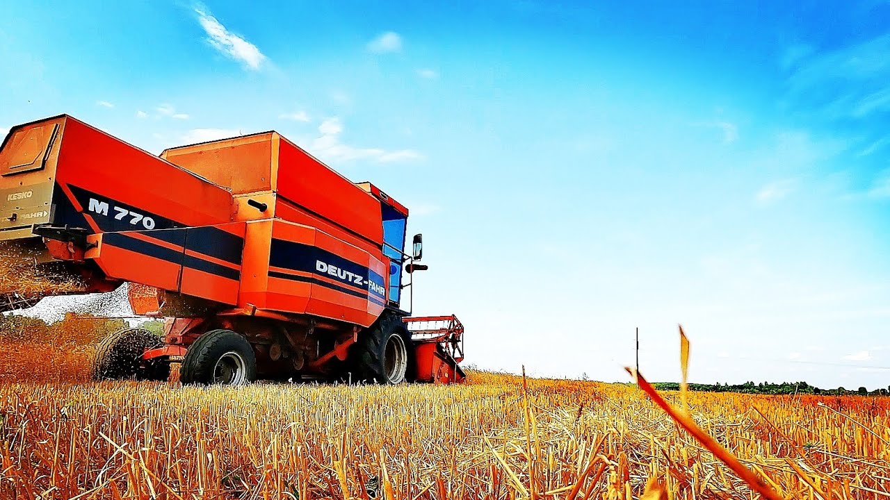 Vasariniai kviečiai į trasą / Deutz Fahr M770 / Kulam vežam