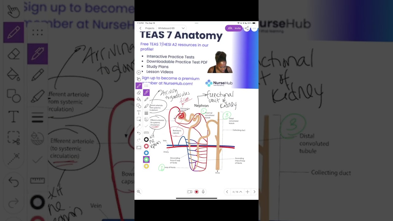 TEAS 7 Anatomy Review Session | 9.18.25