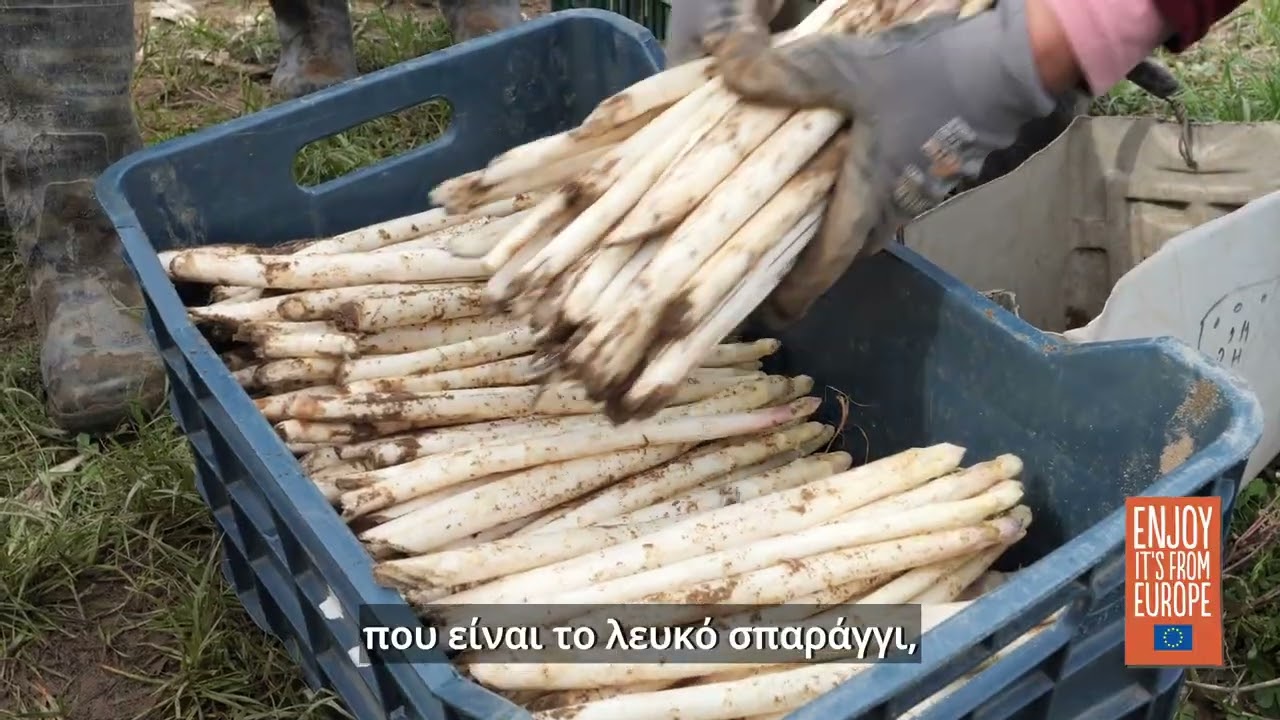 &Sigma;&pi;&alpha;&rho;ά&gamma;&gamma;&iota;: &Kappa;&alpha;&lambda;&lambda;&iota;έ&rho;&gamma;&epsilon;&iota;&alpha; &kappa;&alpha;&iota; &sigma;&upsilon;&gamma;&kappa;&omicron;&mu;&iota;&delta;ή