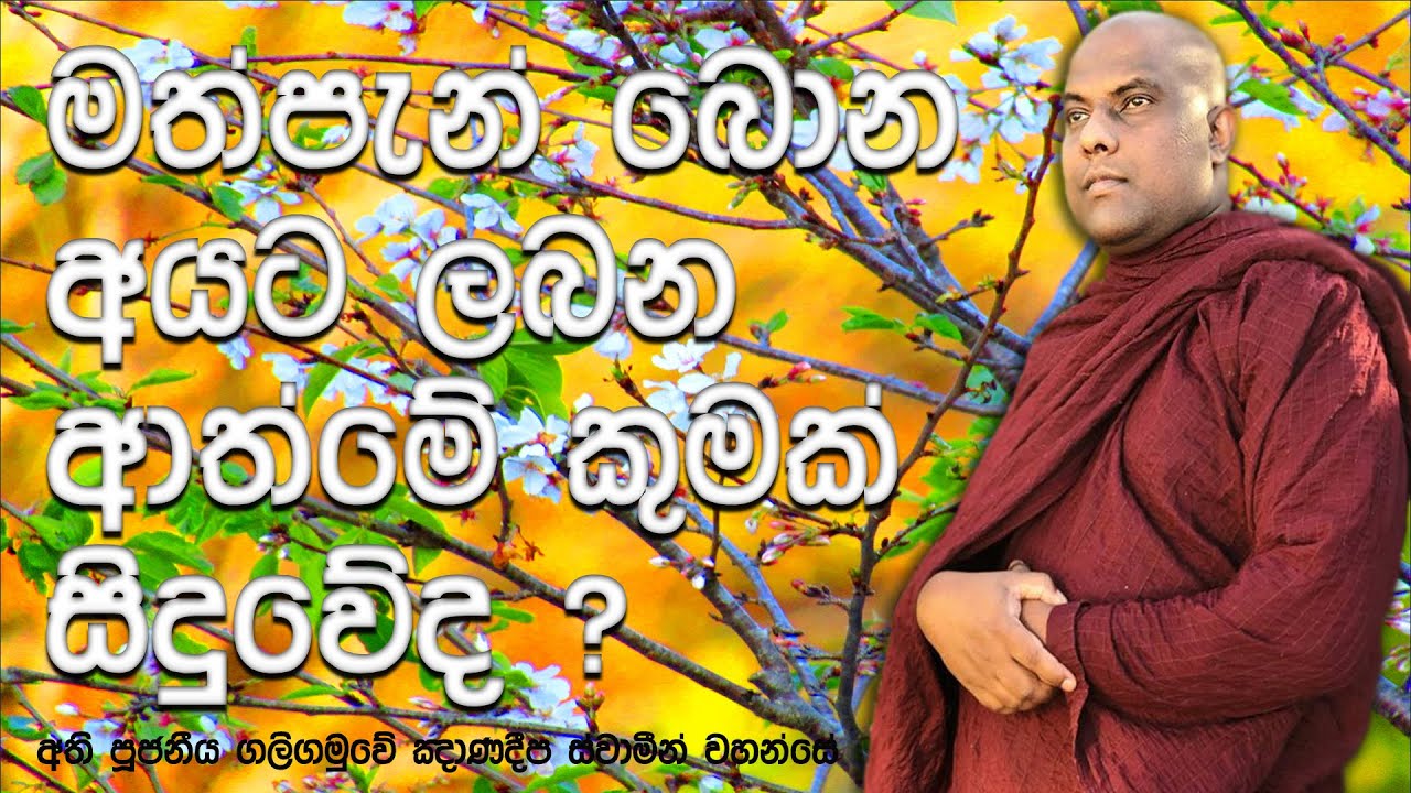 මත්පැන් ටිකක් බොන්න හිතුනත්, නොබී හිත පාලනය කරගන්නා ආකාරය | Galigamuwe Gnanadeepa Thero
