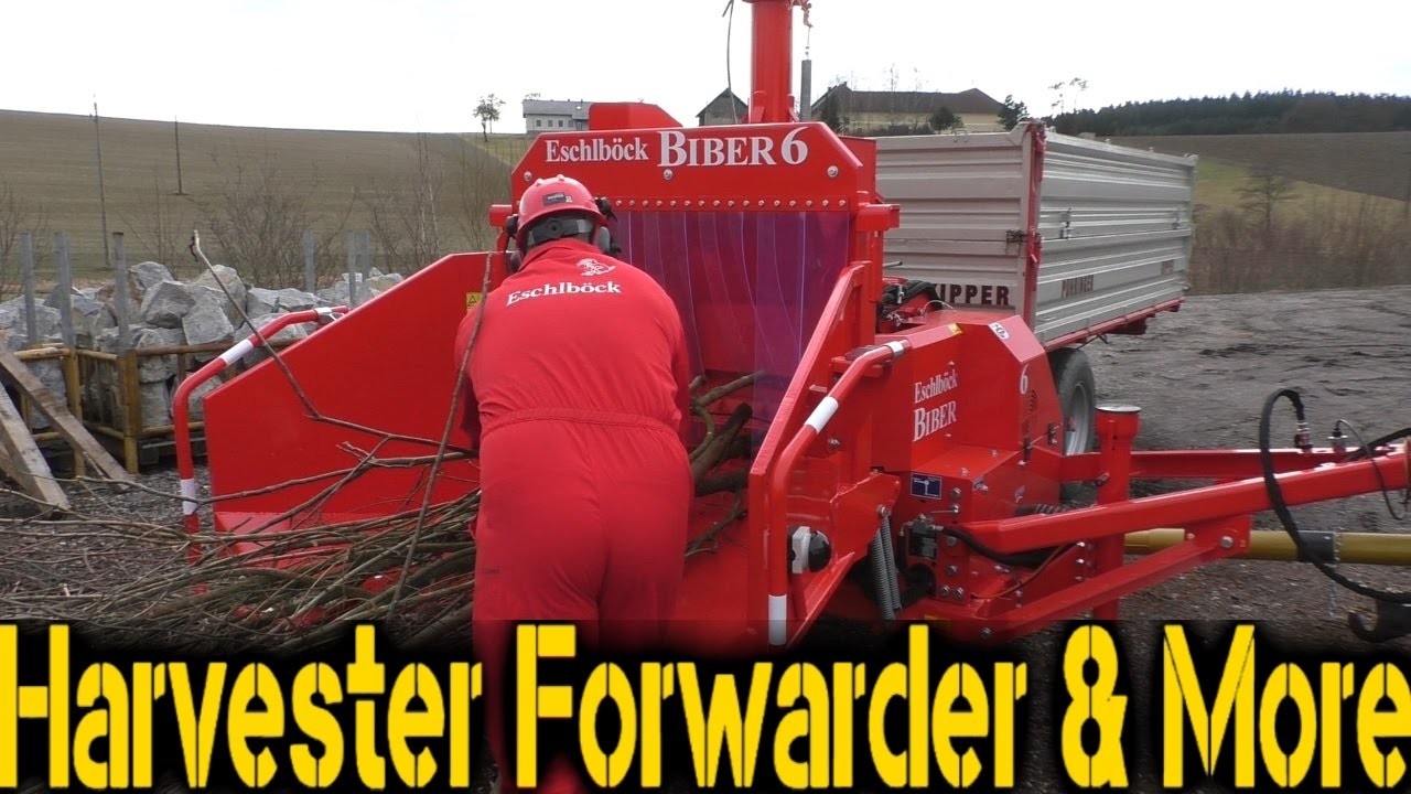 Eschlböck Biber 6