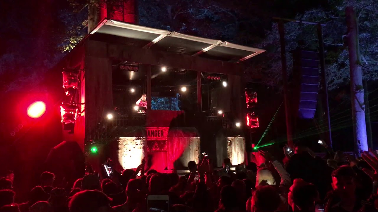 AV51 Ltd Architectural tree lighting at Forbidden Forest 2019