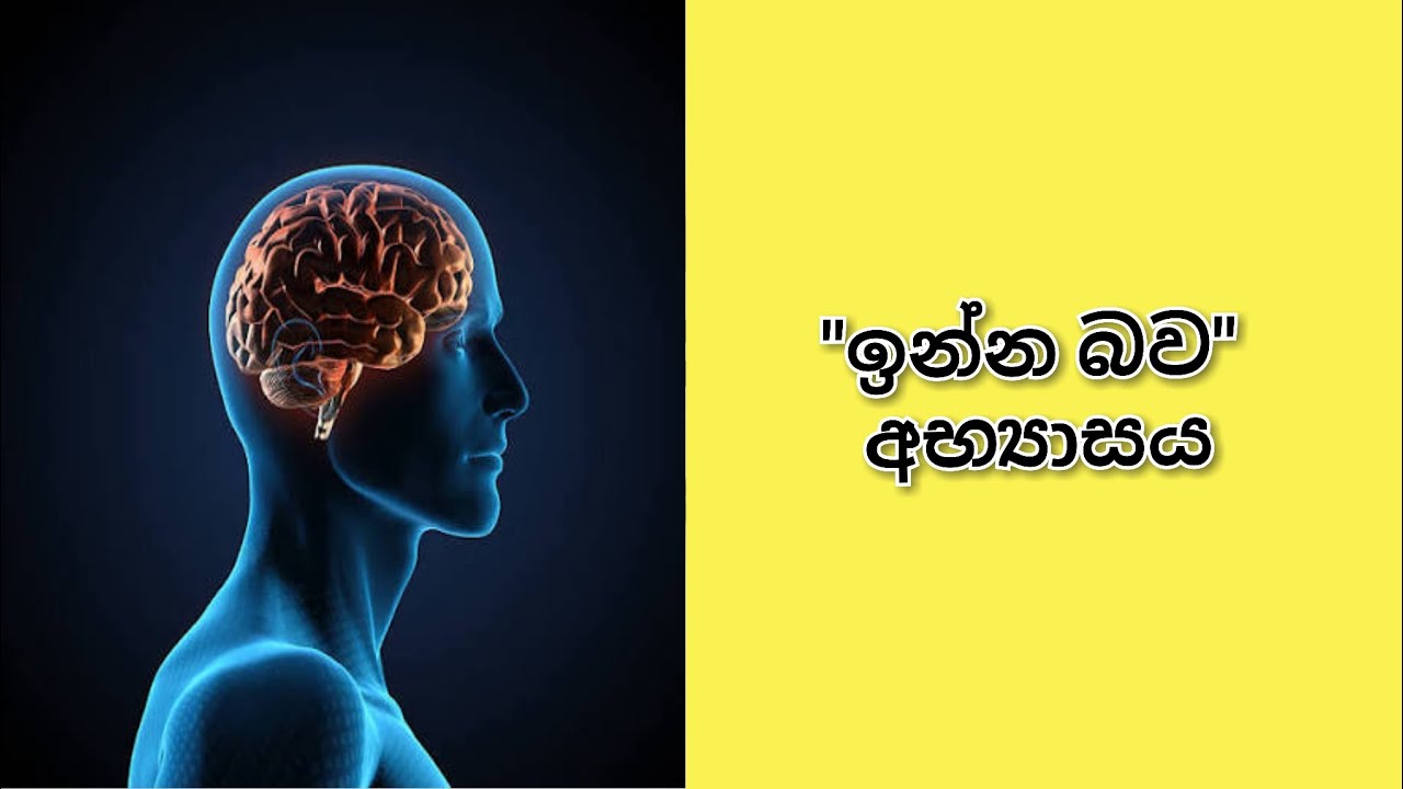 සිතේ යාන්ත්‍රණය (4 කොටස) | Nuwan Rajapaksha