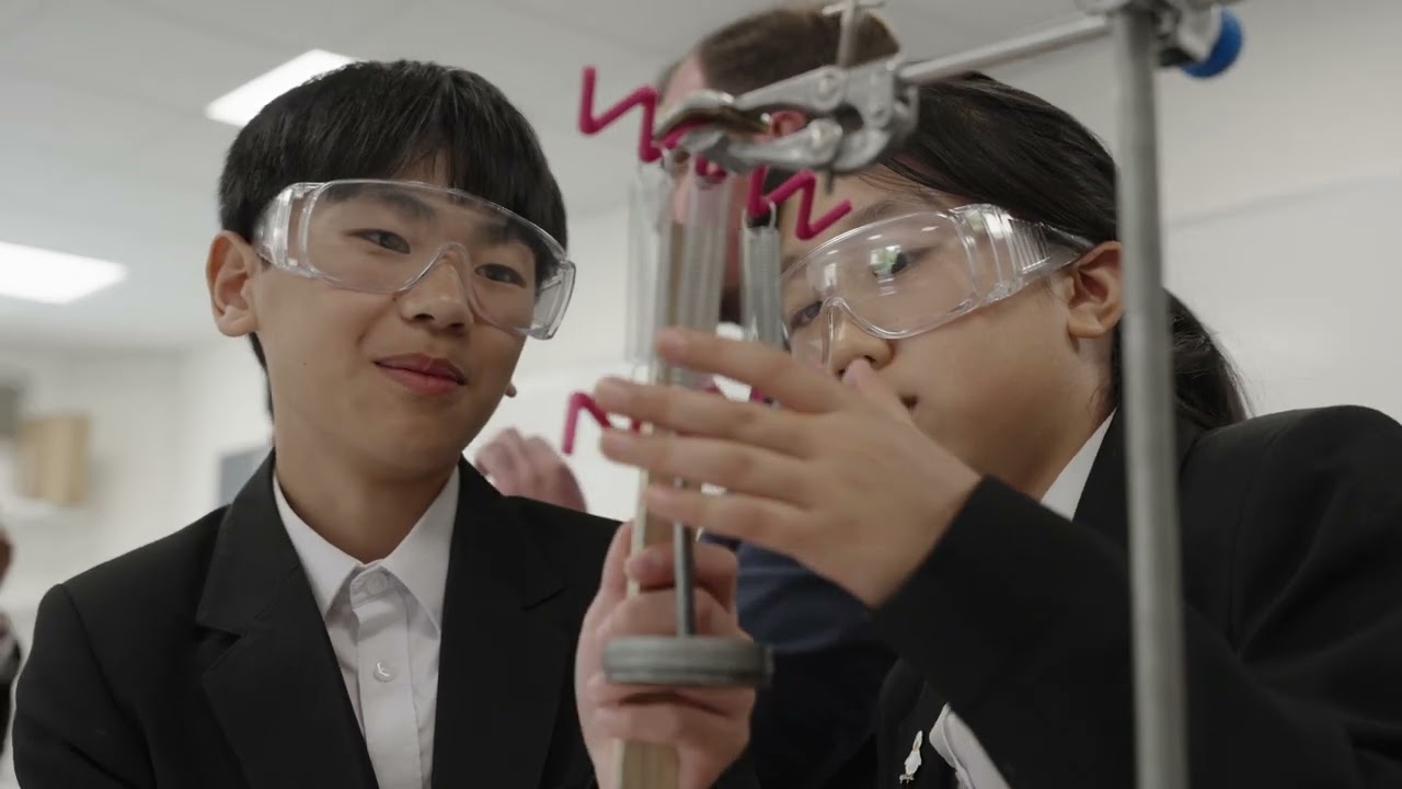 Spring into Year 7 Science measuring force and extension