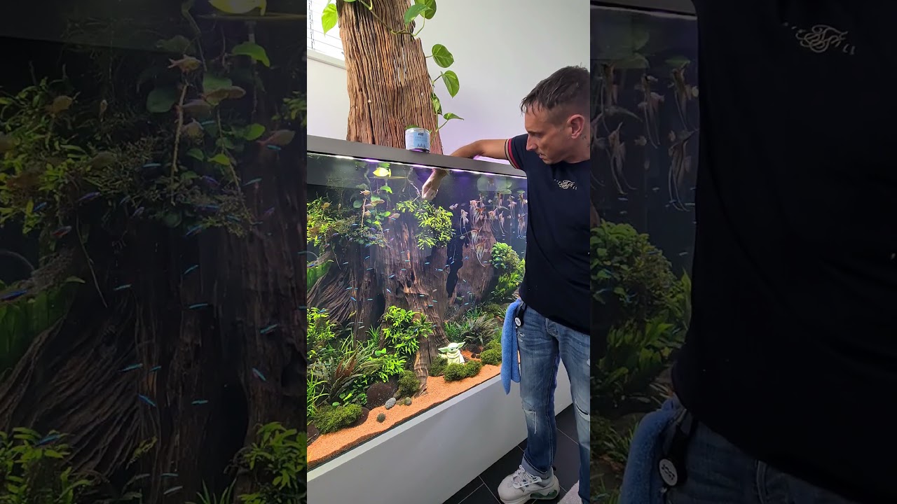 5000 liter planted tank at J&ouml;st Aquaristic