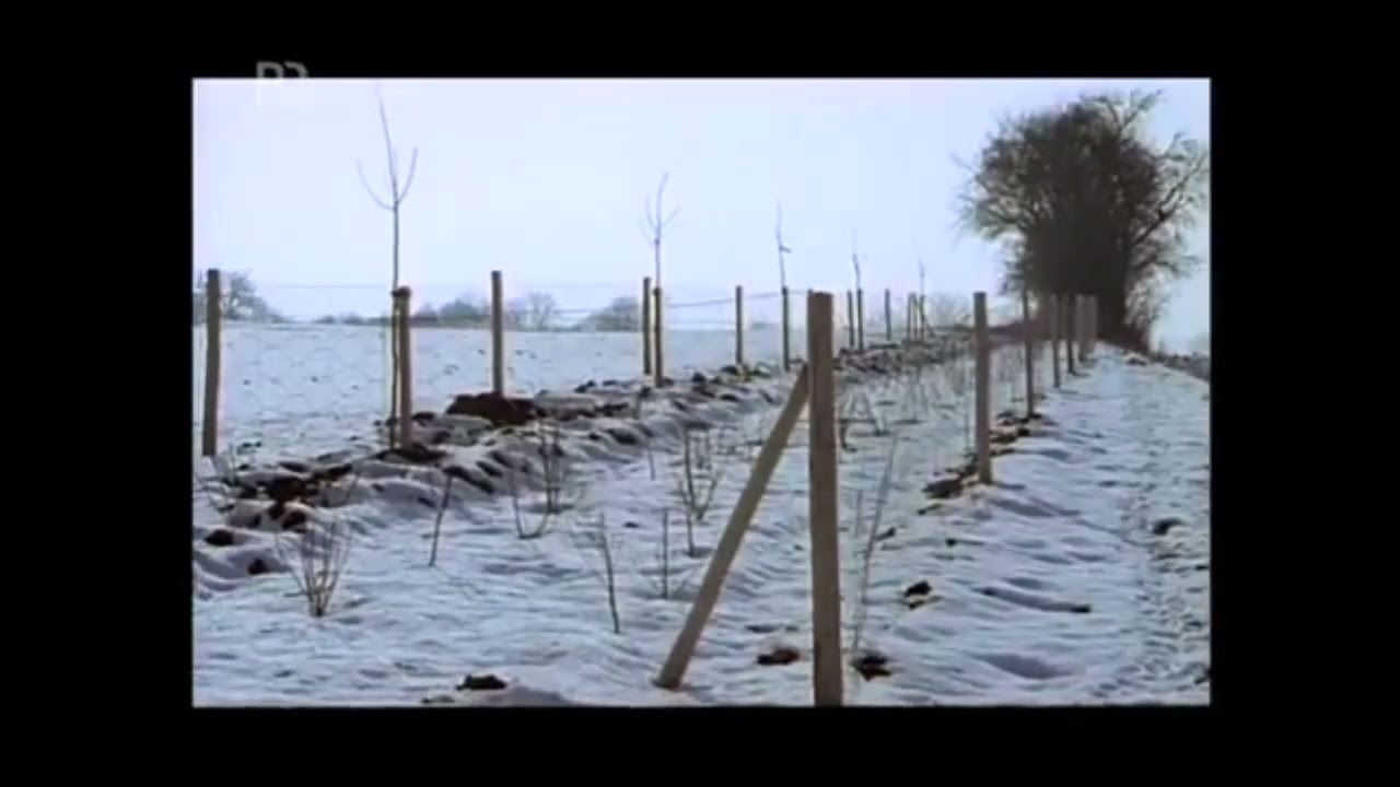 12. Handwerks-Tradition; Topographie Heckenlandschaften - Dieter Wieland, 1993