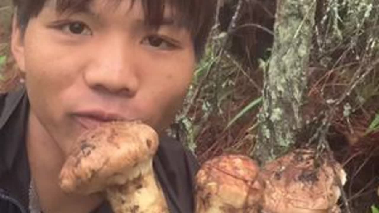这两天的松茸也太多了吧