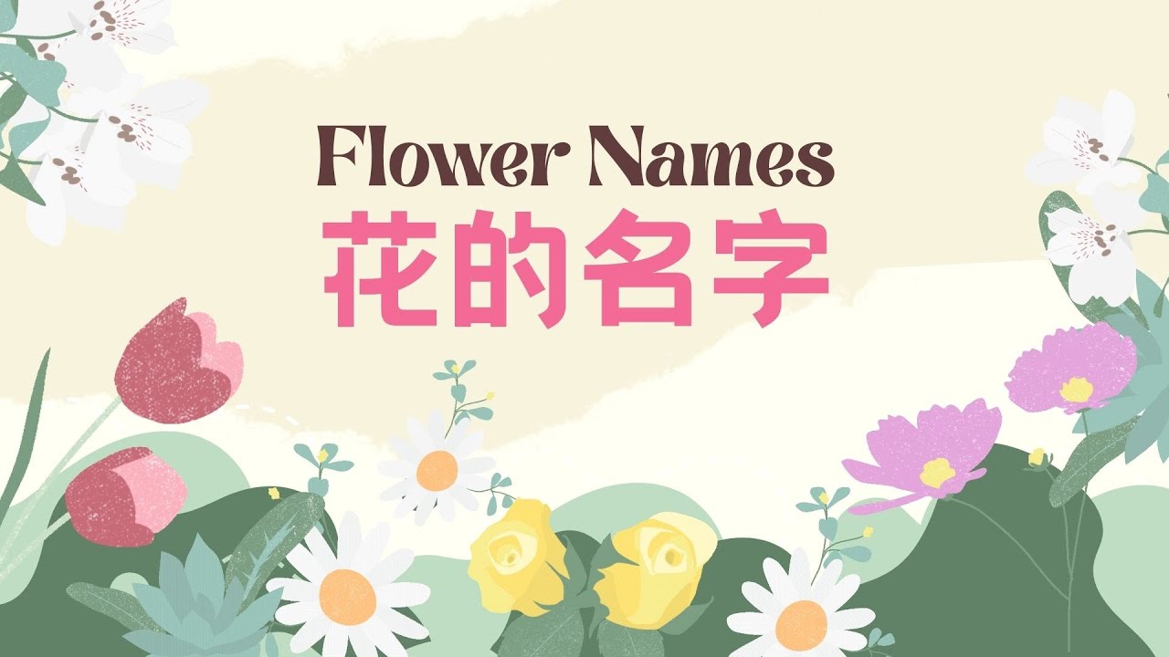 【认识花卉的中文名字Flower Names in Chinese】植物科普 | 自然认知 | 儿童学中文 | Flower in Mandarin |认识花卉