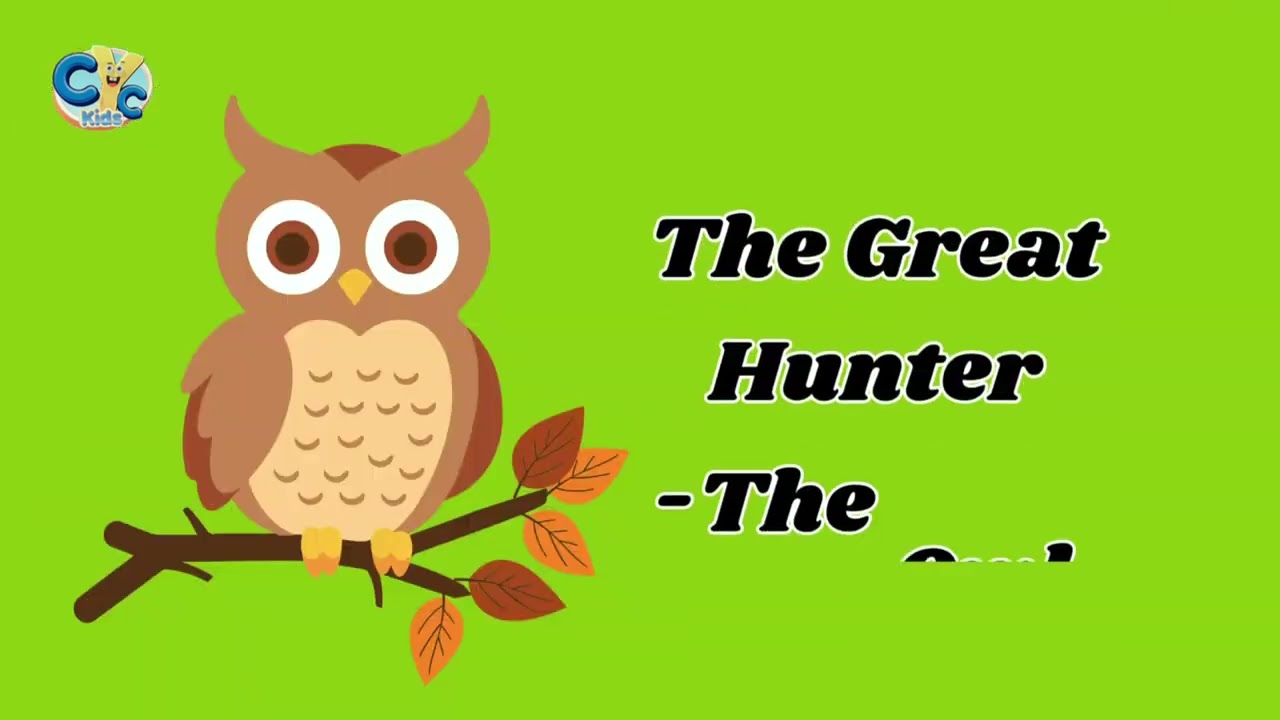 Mighty Birds of Prey 🦅 | Eagles, Falcons & Owls  | Learn , Listen, and Live God’s Amazing Creation
