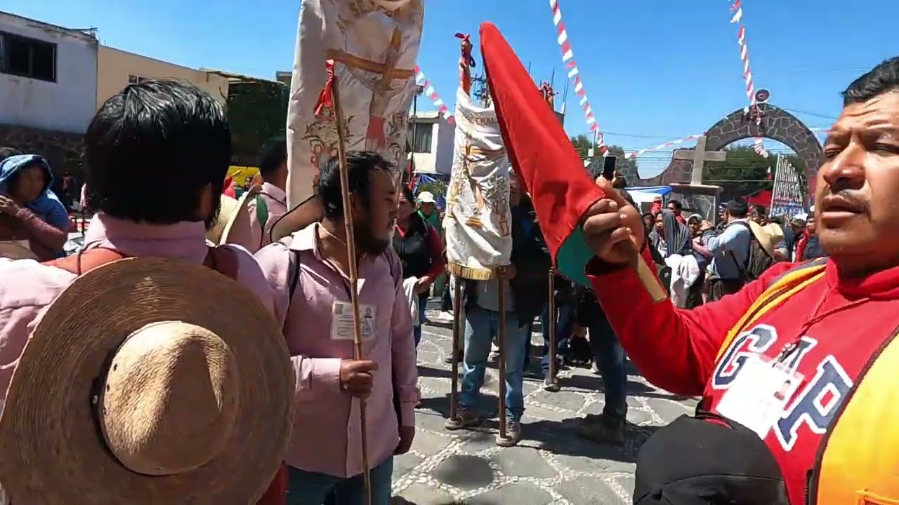 Peregrinación de san Pedro arriba 2026.