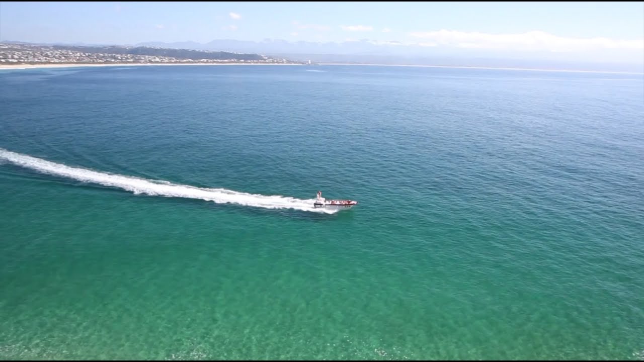 Plett Summer Festival - Plett it's a feeling!