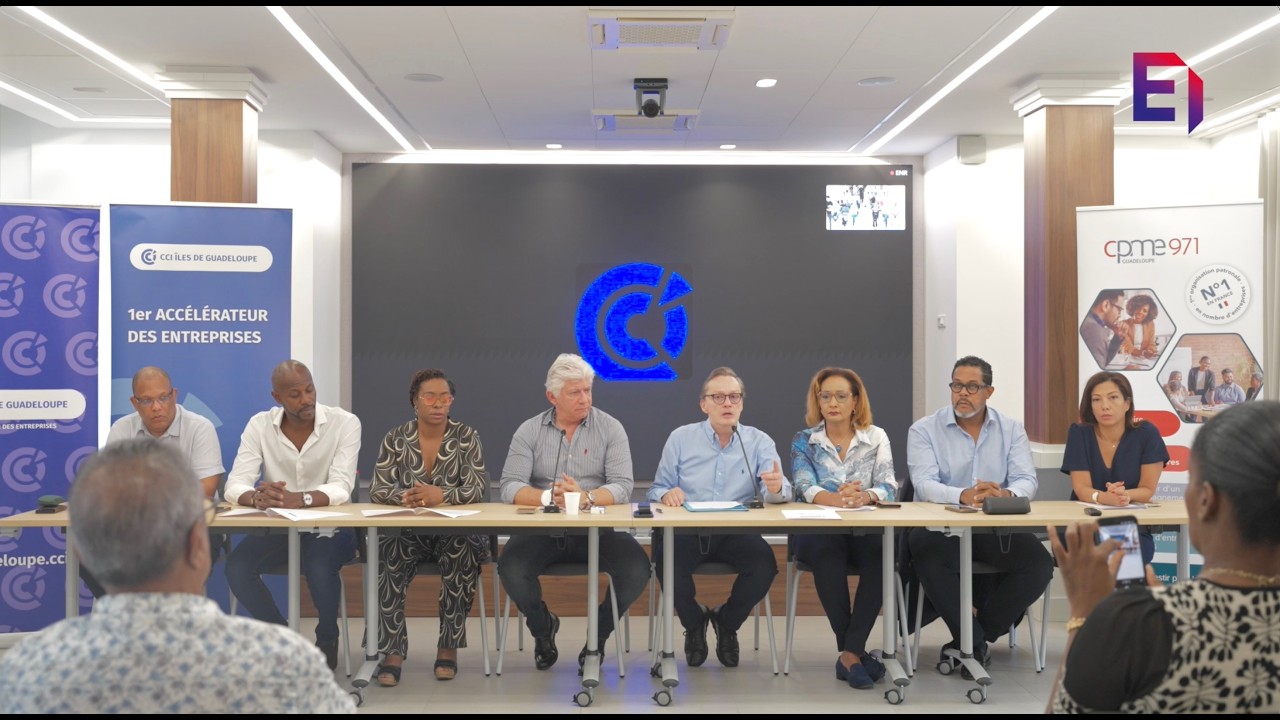 Conférence Presse CCI IG x CPME x UDE MEDEF Guadeloupe - L'évolution statutaire : Article 73