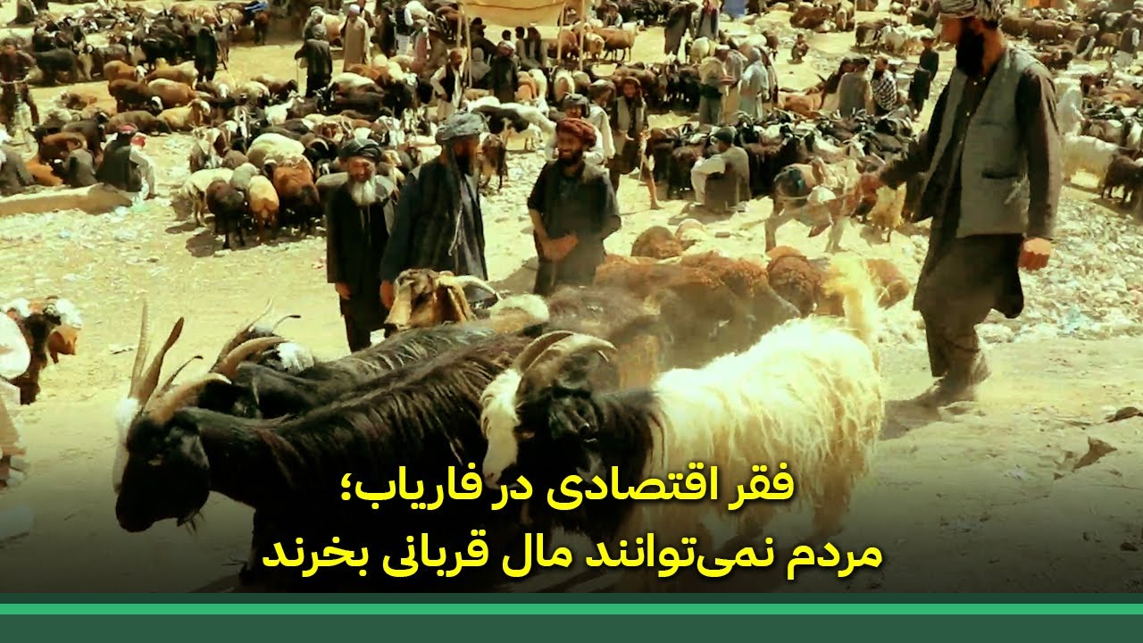 فقر اقتصادی در فاریاب؛ مردم نمی‌توانند گوسفند قربانی بخرند