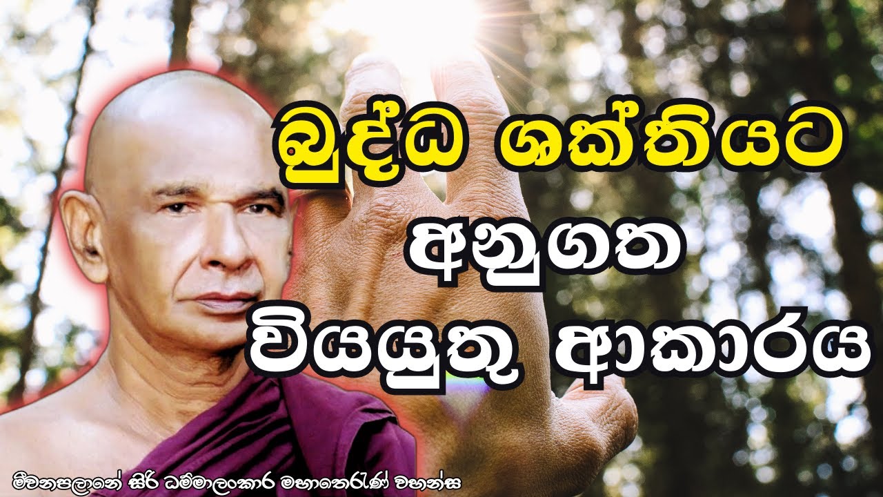 බුද්ධ ශක්තියට අනුගත වියයුතු ආකාරය