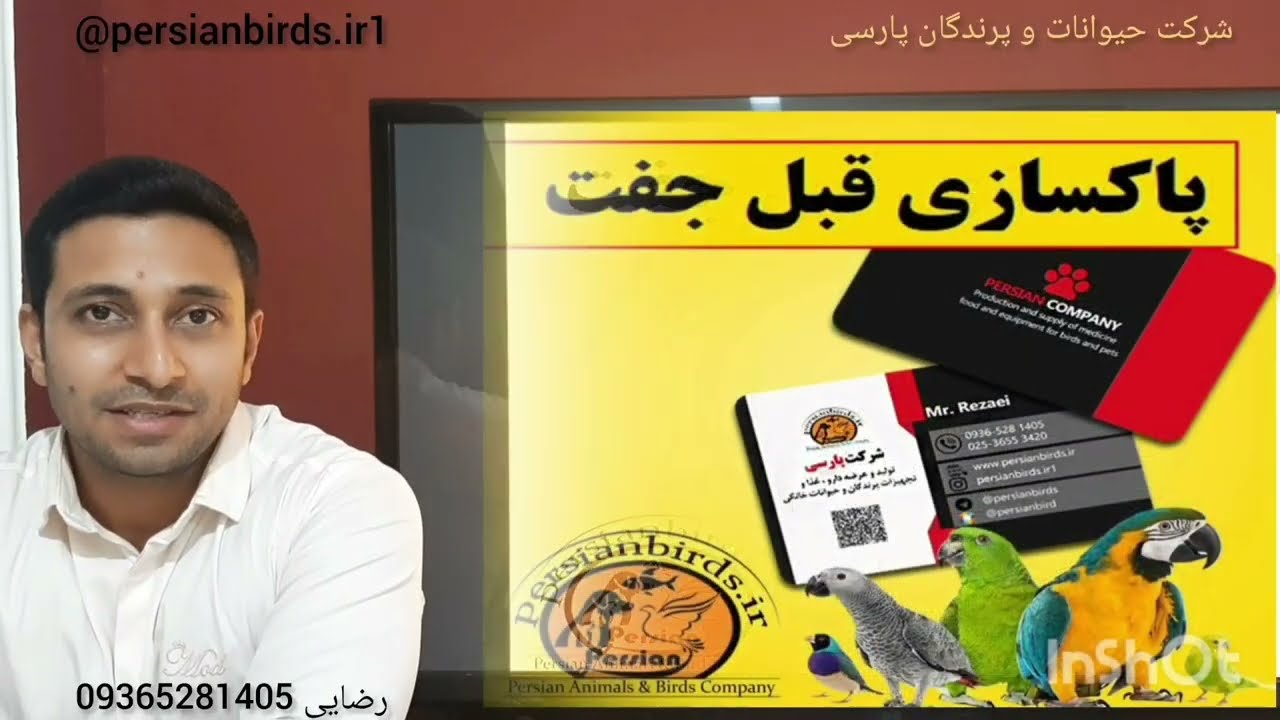 پاکسازی پرندگان قبل از جفت قسمت ۱ @Persianbirds 