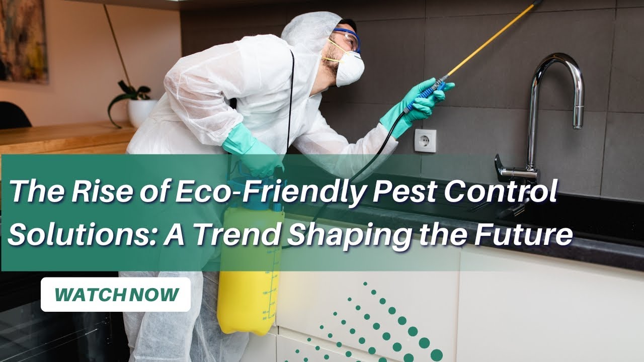 The Rise of Eco-Friendly Pest Control Solutions: A Trend Shaping the Future