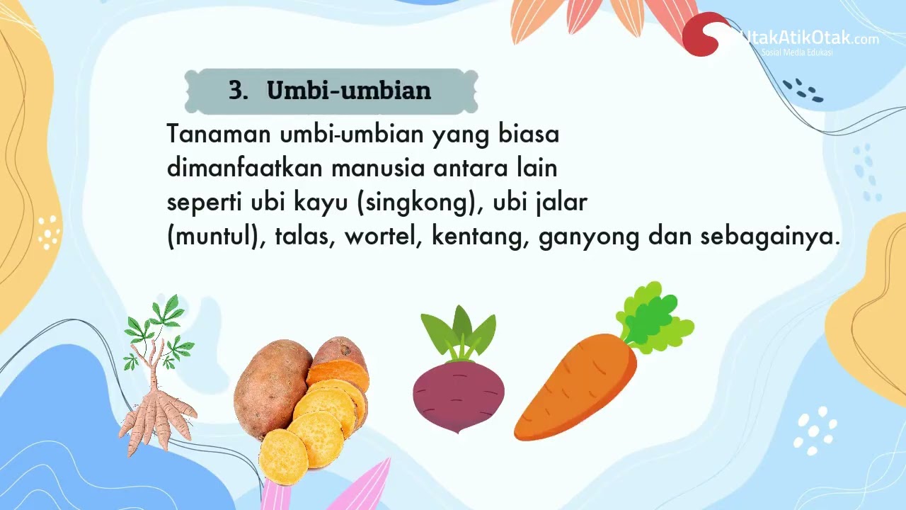 Pengertian dan Jenis jenis Tanaman Pangan dan Hortikultura