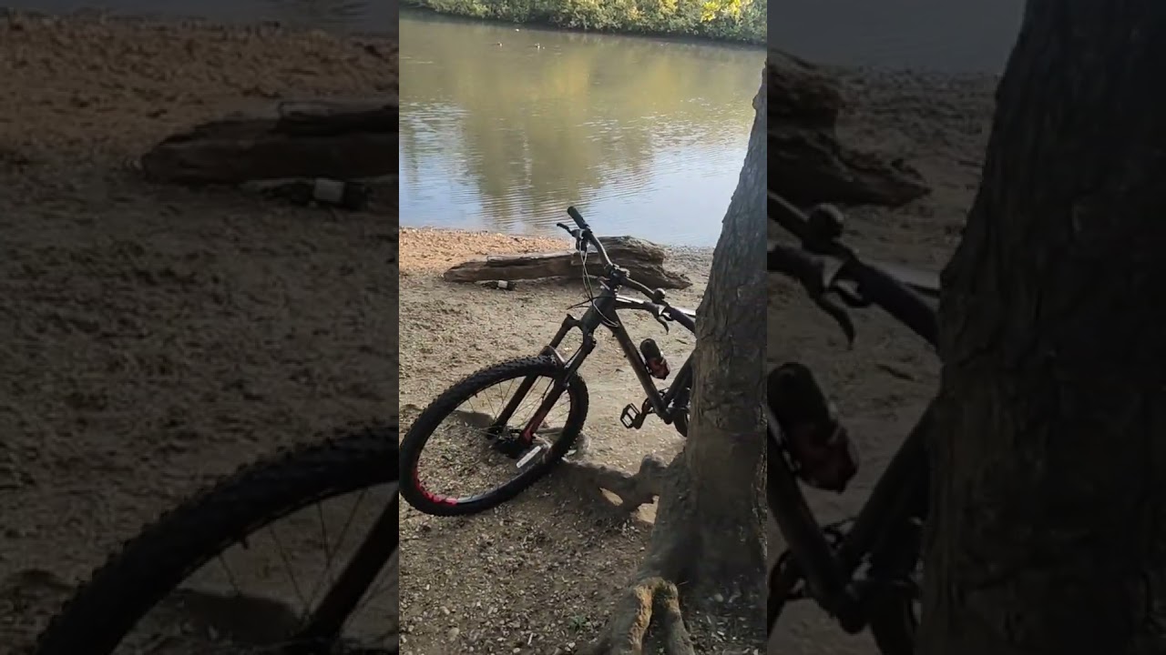 Whyte 429