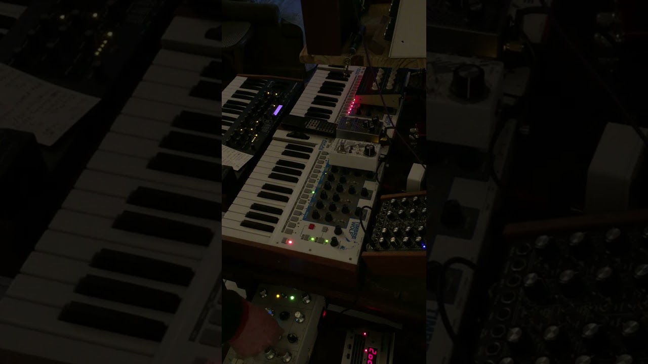 Groove Rock My /Dark Energy - Ritm2 - MoPho X4 #electronicmusic #music #analogsynth #techno #akai