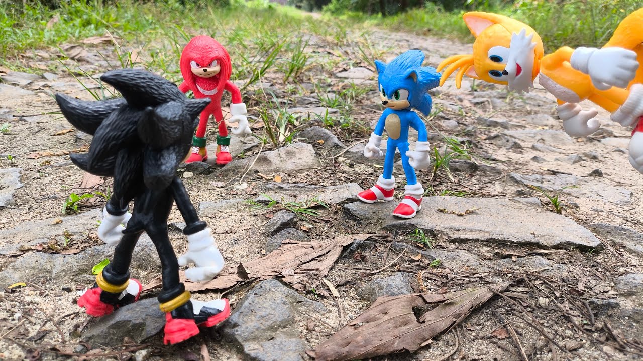 Sonic Hedgehog, Sonic Shadow, Knuckles, Tails, Metal Sonic, Super Sonic, Metal Sonic, Super Shadow
