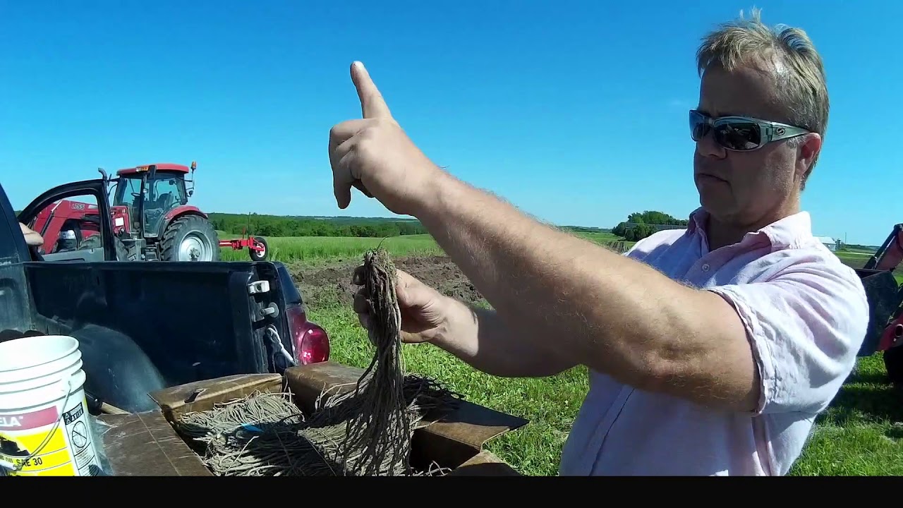 Asparagus Field Day at Schmidt Farm
