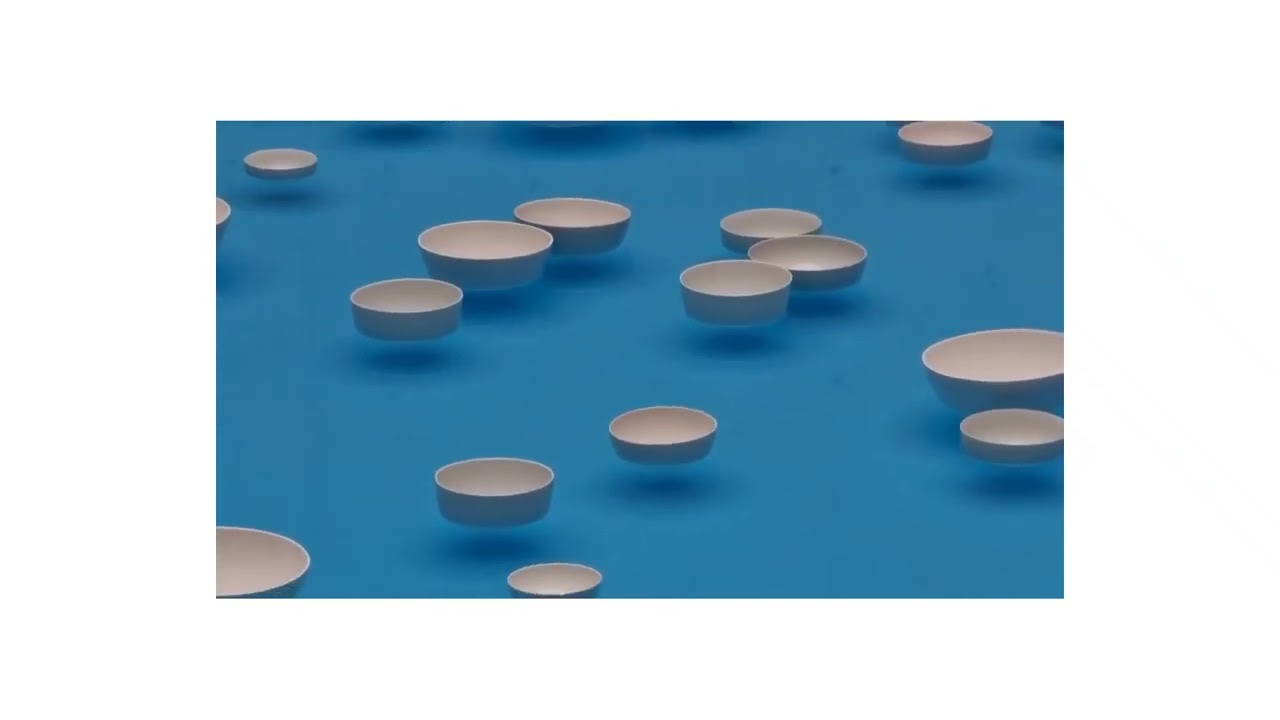 Céleste Boursier Mougenot: 