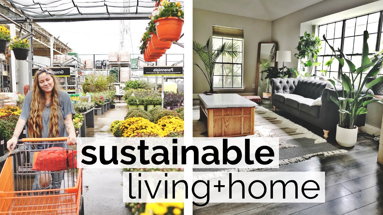 DITL: Sustainable Living ♻️🌎🌿 Eco-Friendly Home Improvement (beyond zero waste)