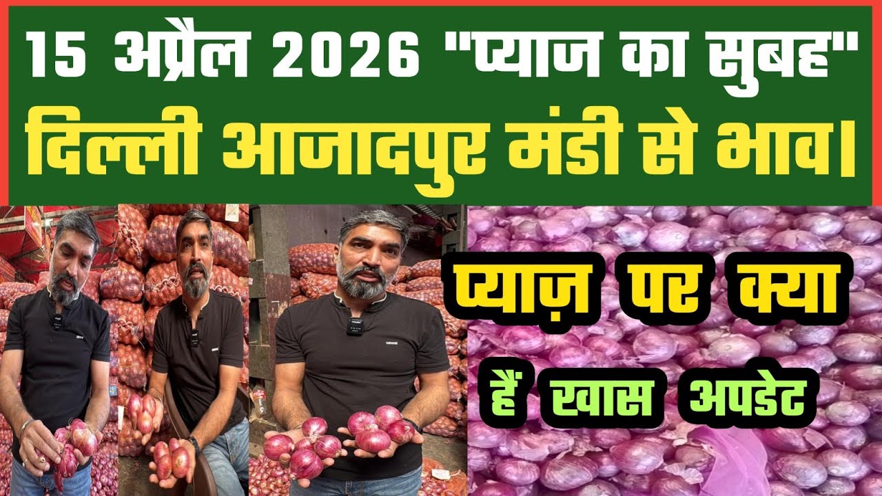 प्याज़ के लिए क्या हैं संकेत, Azadpur Delhi Mandi Today में 15-04-2026 के Onion Price DMT TV