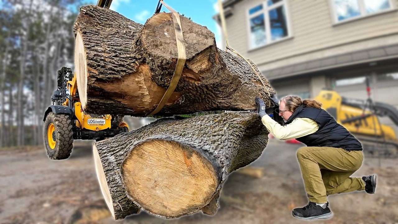 Giving this log the Humpty Dumpty Treatment