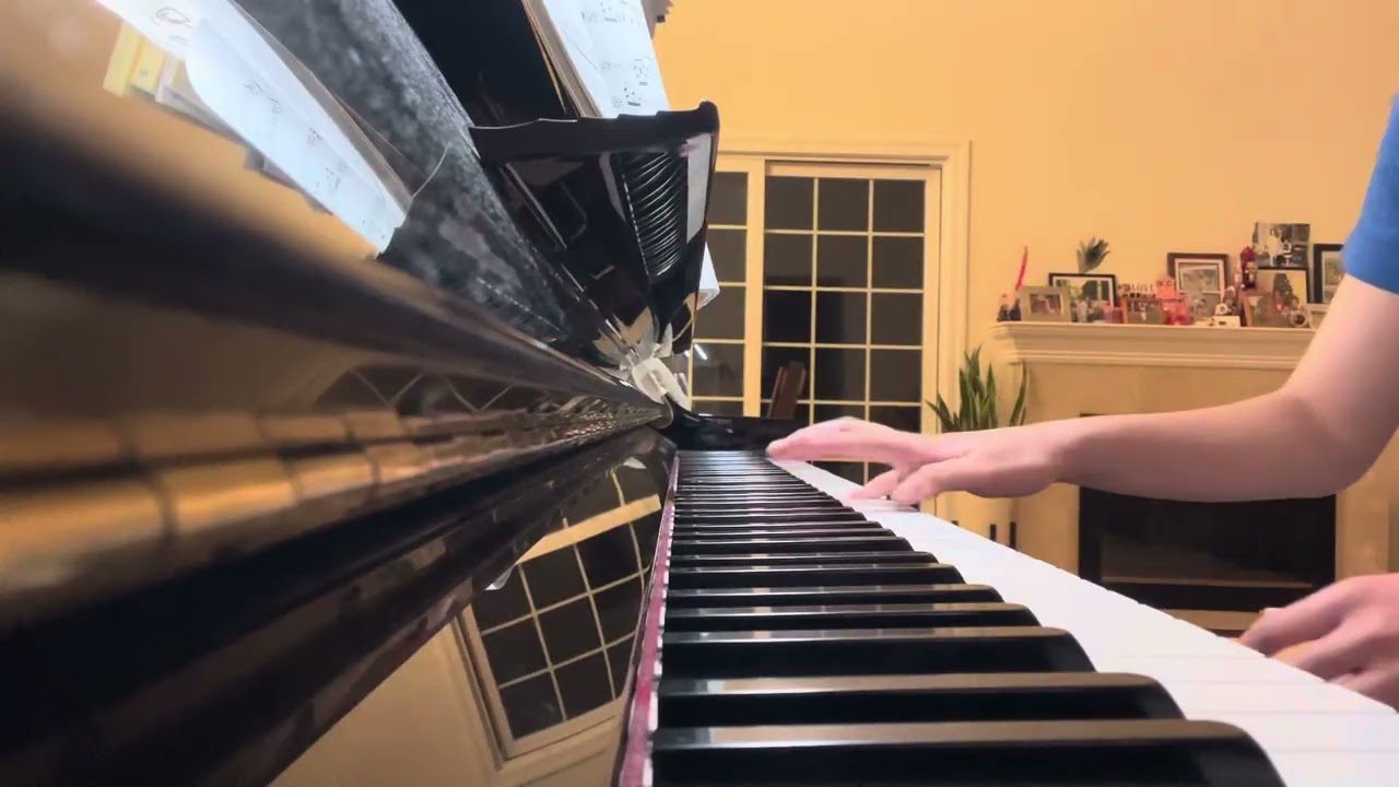 liszt- transcendental etude no 10 wip