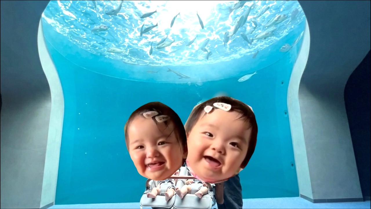 【Twins 11 Months｜初めての水族館！と、ばあばを安心させた100点の笑顔】