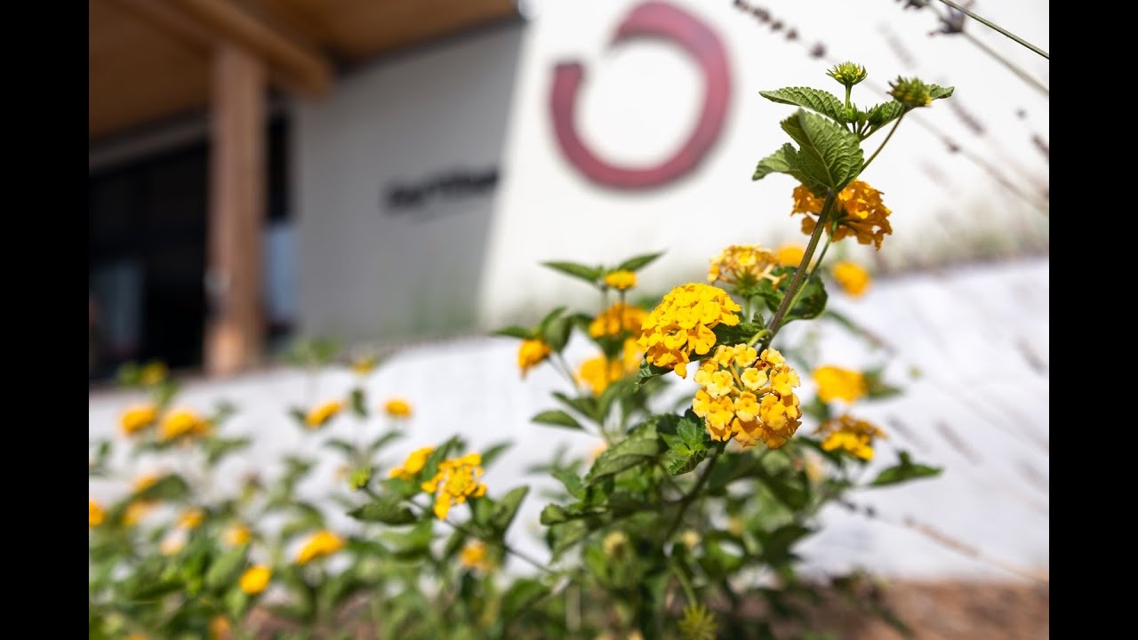 Life at Ensō Village