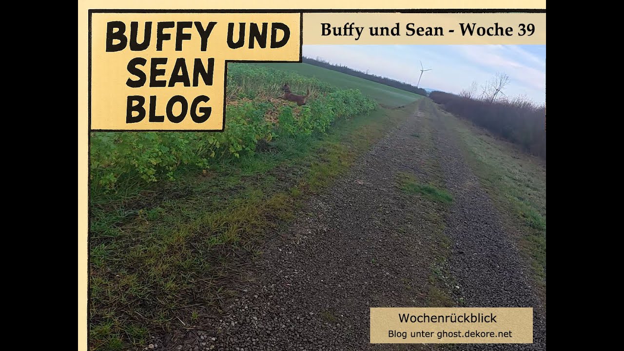 Neununddreisigster Wochenrückblick Buffy & Sean: Park & Feld, Fröhliche Weihnachten 🎄