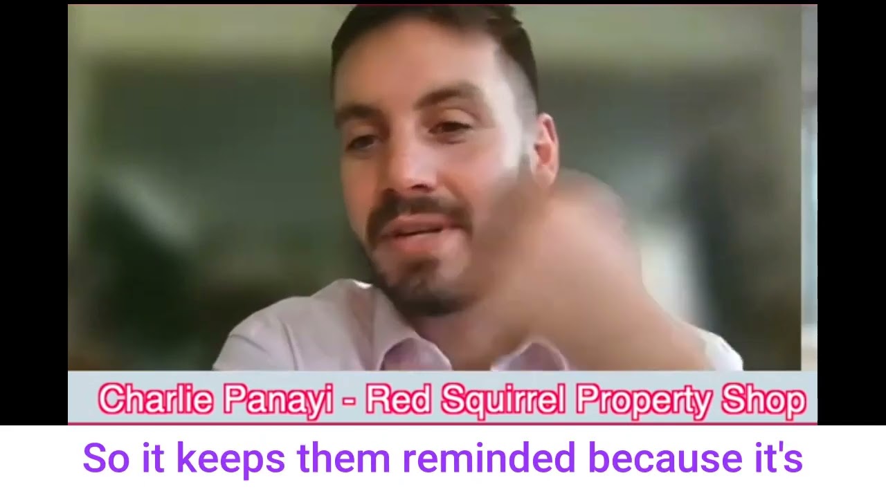 How to win more Landlords - Red Squirrel and Vaboo