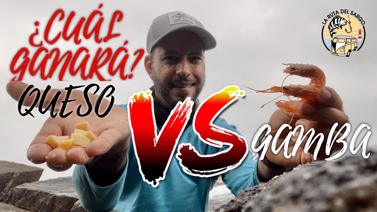 Pescando SARGOS a BOYA en EUSKADI con QUESO y GAMBA (COMPARATIVA y CONCLUSIONES)
