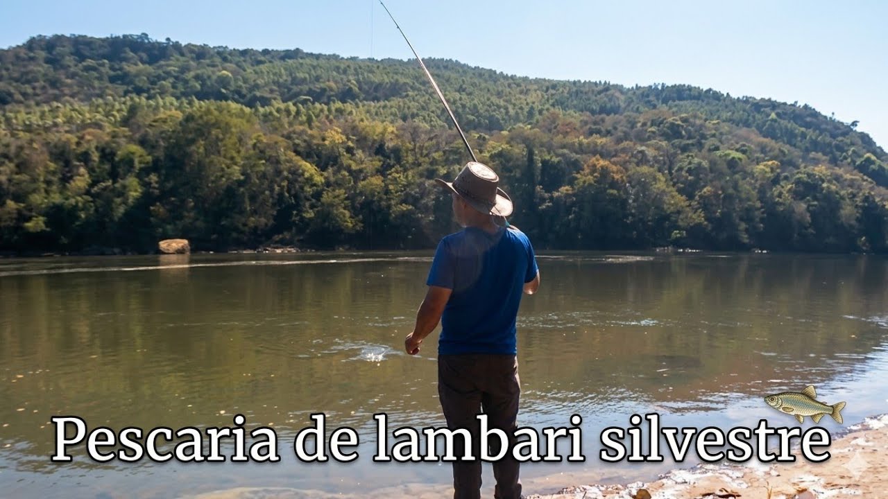Você já pegou esse peixe?INSANA! Muitos Lambaris na Represa — Não Parei um Segundo!” ✅