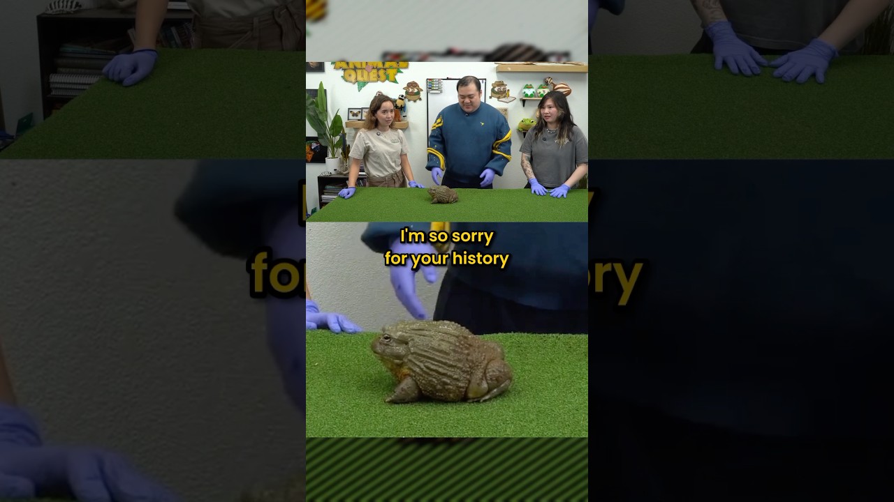 Scarra, you&rsquo;re crazy for that&hellip;