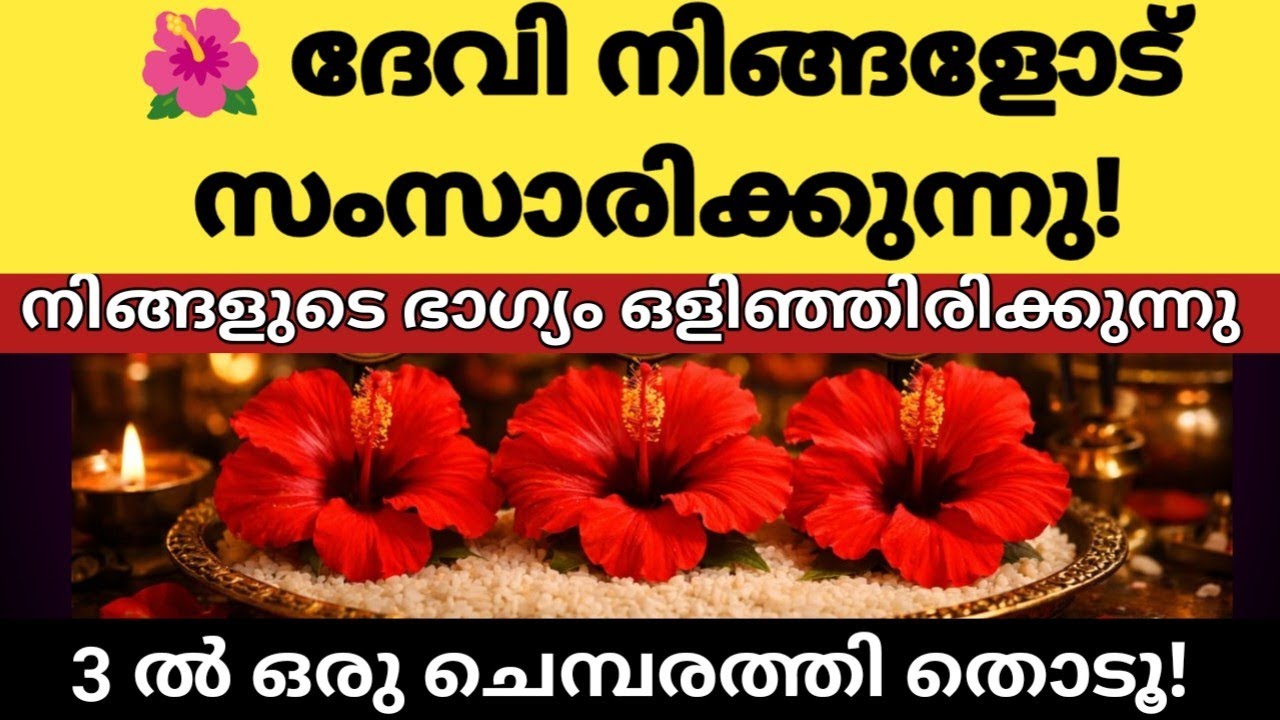  🌺 ദേവി നിങ്ങളോട് സംസാരിക്കുന്നു! ഈ 3 പൂവിൽ ഒന്ന് തിരഞ്ഞെടുക്കൂ!|Thodukuri Malayalam