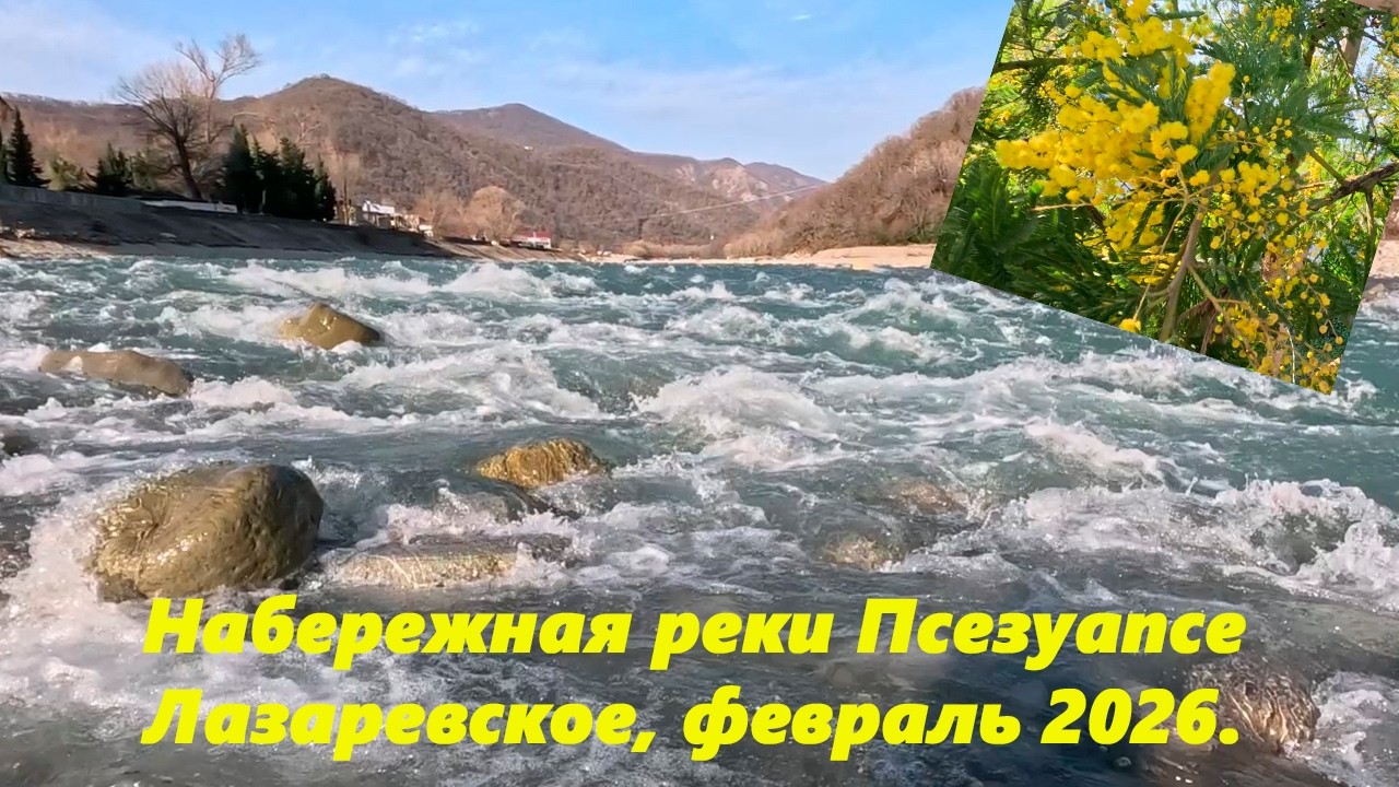 Там где набережная Псезуапсе. Лазаревское, февраль 2026.