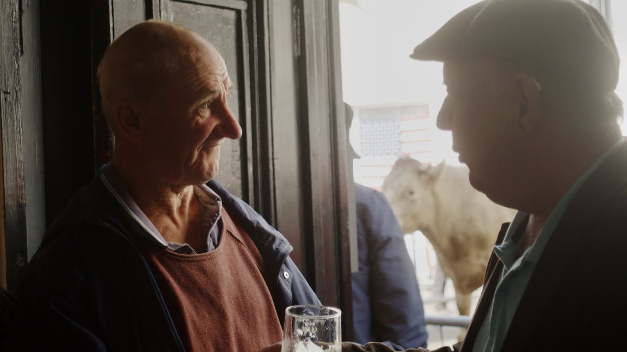 Puck Fair 2023: Cattle Fair