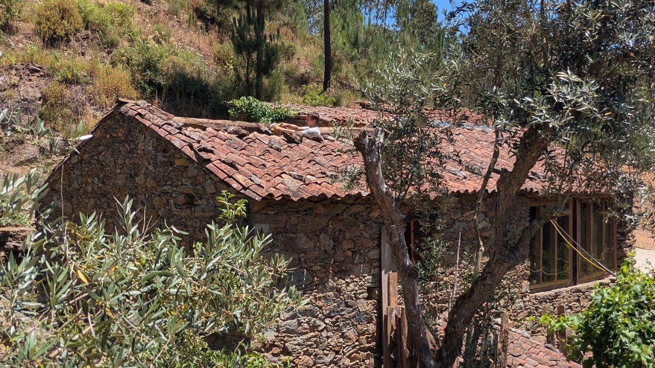 #69 A Ridge TOO FAR? A Big Job is Underway on the Roof at Our Old Stone House & Barn Restoration