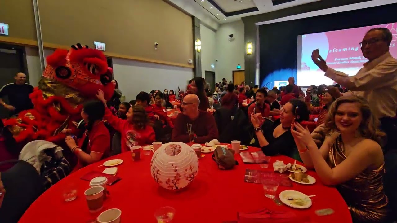Cultural extravaganza: Chinese lion dance in Depaul - January 29, 2025
