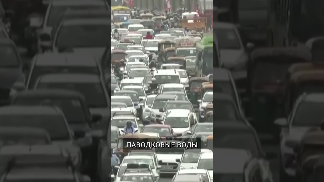 Индийский репортер снял видео в заполненной водой яме 🤣