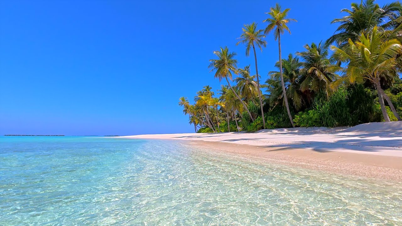 🏝 Paradise Found: Wild Beach and Crystal Ocean Waters. Relaxing Ocean video 4K Ultra HD