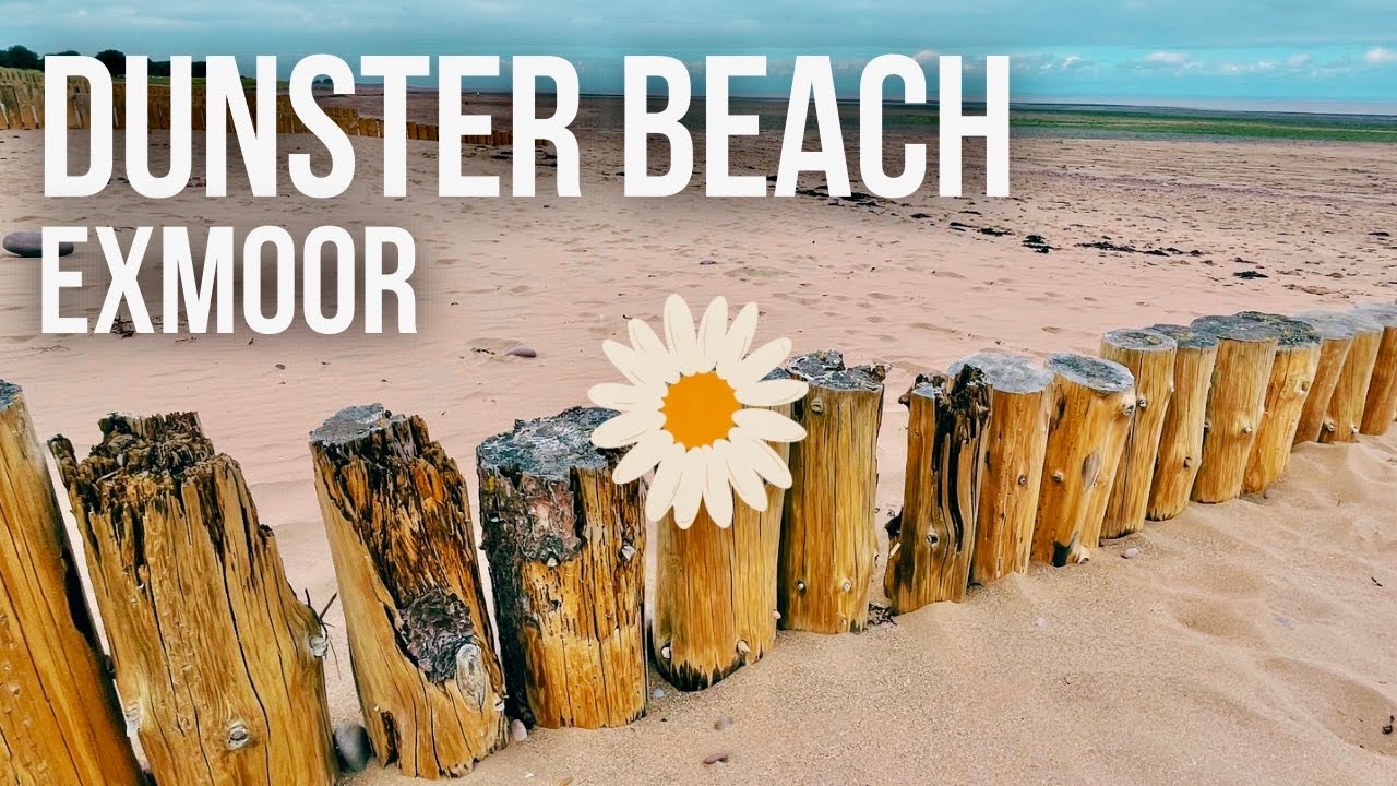 Enjoying the little things on DUNSTER BEACH | West Somerset Railway